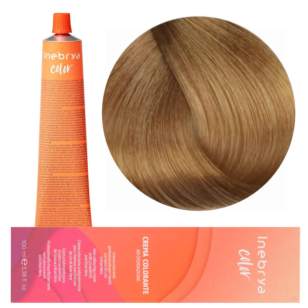 Inebrya Color 8/73 Paint 100