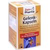 Zein Pharma GELENK Joint 120 Capsules