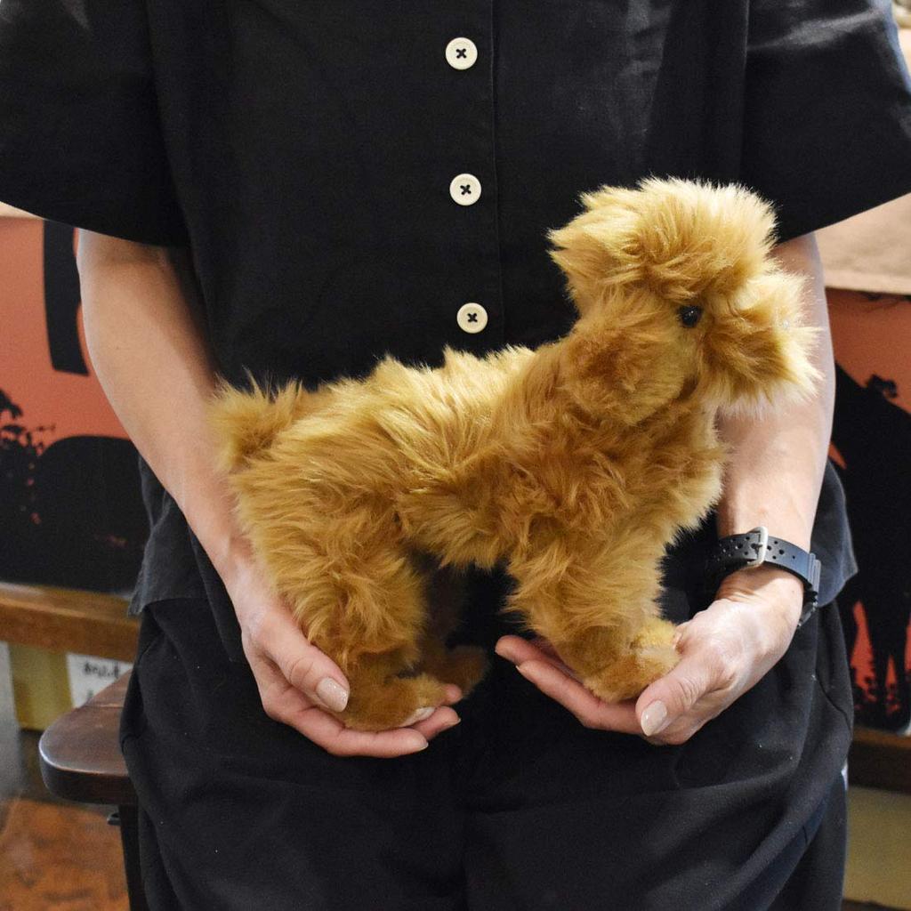 BH6786 HANSA Пудель 30