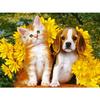 DIY Алмазная картина Кошка и собака Алмазная вышивка Художественная картина Животное Картина Вышивка крестом Домашний декор