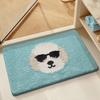 Absorbent Bathroom Rug Non Slip Quick Drying Flannel Floor Mat Anti-Skid Bath Carpet for Home Toilet Bathtub Shower Accessories