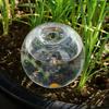 2pcs Tranaparent Self Watering Plant Watering Bulbs Flower Pot Seepage Water Globes  The Lazy