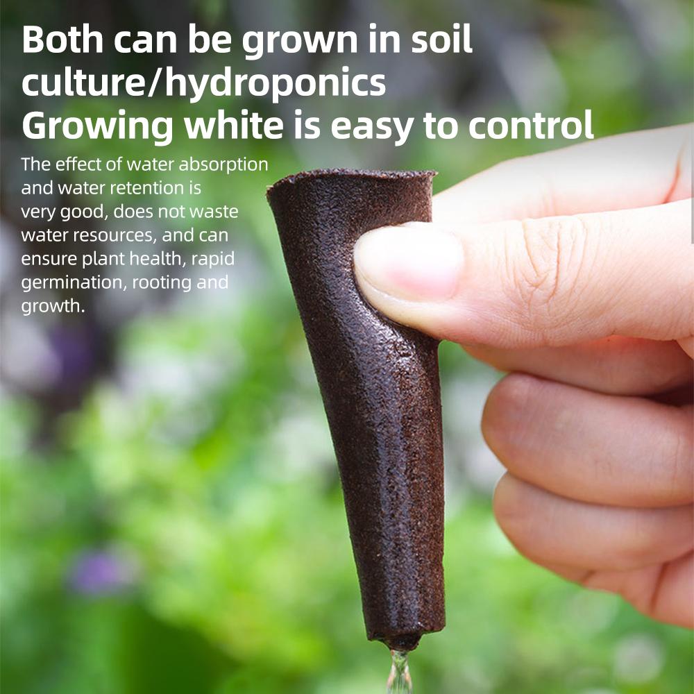 161 шт., комплект гидропонной системы выращивания, набор машин для гидропоники, беспочвенное культивирование, 30 шт.