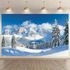 1 winter ski resort scene polyester fabric party banner and photography background - 2D design  holiday party decoration