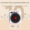 Винтажная проигрыватель виниловых пластинок Новые Hi-Fi звуковые эффекты Супер режим ожидания Радио Портативный Большой аккумулятор Bluetooth-динамик 112,4*105*57 мм