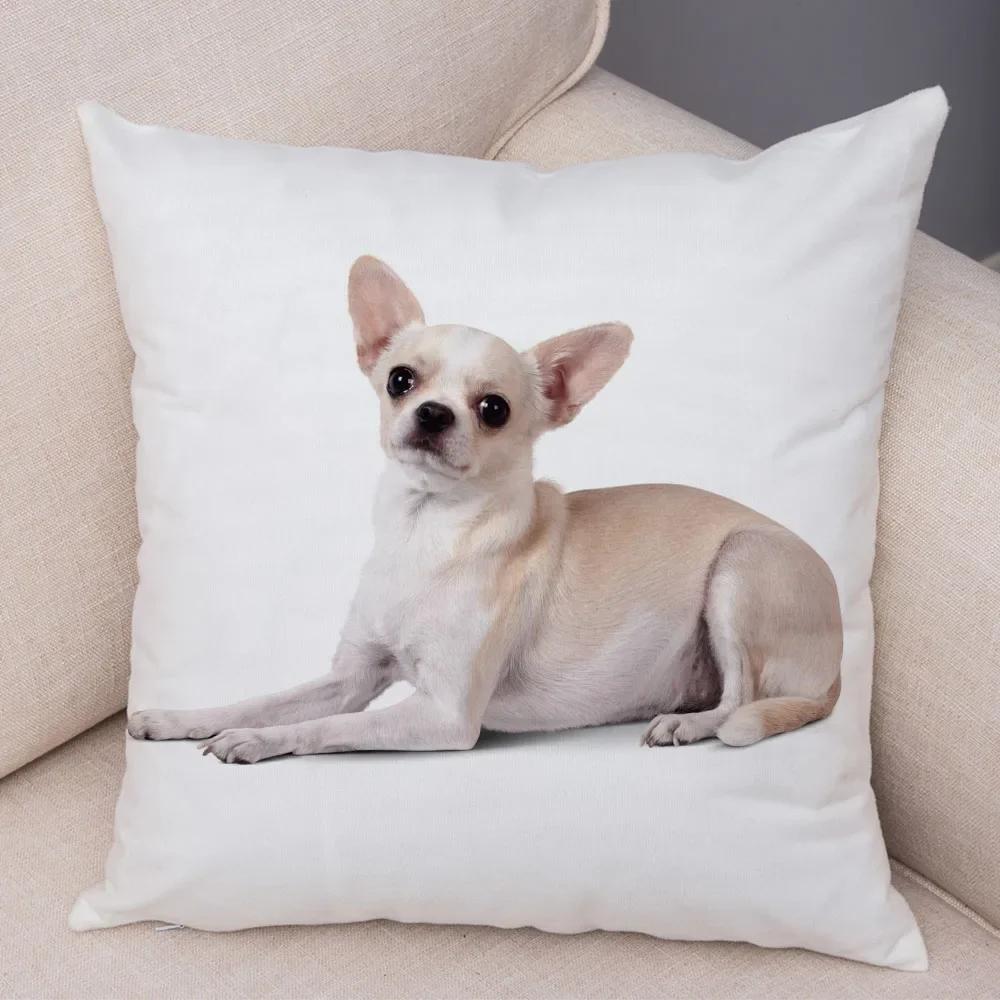 Прекрасная декоративная наволочка для подушки с домашним животным, милая маленькая собачка чихуахуа, мягкий плюшевый чехол для подушки для автомобиля, дивана, дома