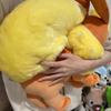 Плюшевая игрушка Пикачу большого размера, Спящий Флареон, Плюшевый Вапореон, Генгар, Иви, Греннина, Игрушка Люкарио, Милотик, Гиарадос, Спригатито, Подушка