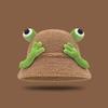 Зимняя панама мультяшного дизайна с 3D лягушкой, утолщенная плюшевая шляпа рыбака, женский аксессуар для активного отдыха
