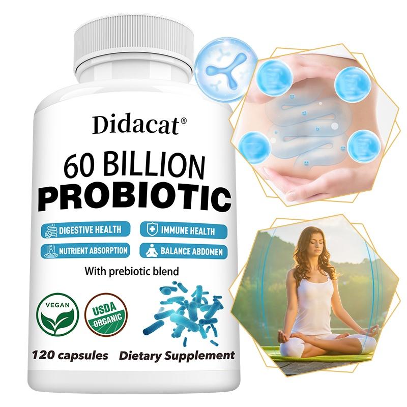 Didacat Probiotic 60 Billion CFU, 10 Live Strains, Prebiotic Ginger Fennel Artichoke, 120 Caps