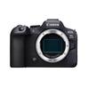Canon Беззеркальная полнокадровая камера EOS R6 Mark II (Китайская версия)