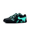 Nike Court Vision Abrasion Resistant Abrasion Resistant Low top Skateboard Shoes Unisex Green Black DH2987-002(Team476-)