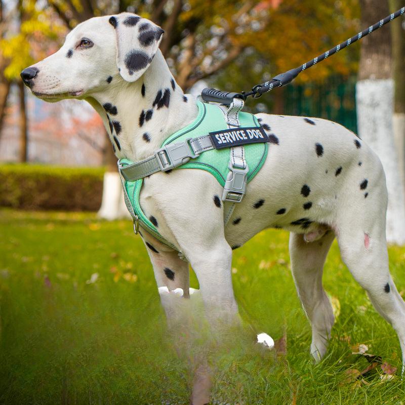 Ремень для собак для маленьких собак, седловидный, взрывозащищенный, цепь для собак, померанский шпиц, корги, плюшевый пояс для груди и спины