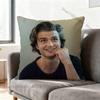 JJoe SSteve KKeery Print Polyester Pillow Case for Valentine gift Home Sofa Cushion Cover Decoration Custom