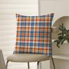 Fashionable Check Pattern Design Pillow Case Comfort Sofa Bed Silky Elegant Invisible Zipper Decorative Cushion Cover