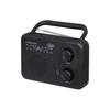Radio Portable - TREVI - RA 7F64 - AM-FM - Noir - Analogique - 1 Haut-parleur