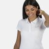 Regatta Womens/Ladies Sinton Polo Shirt