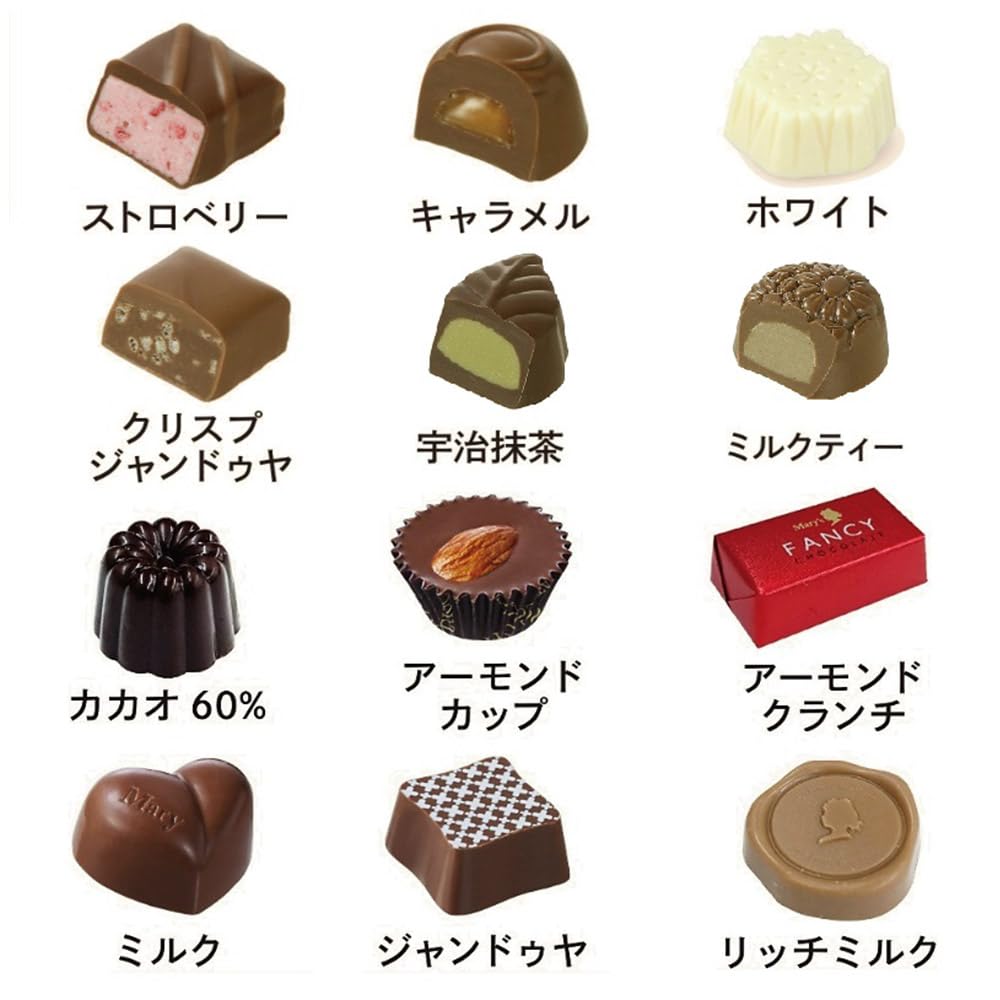 Merry Chocolate Fancy Chocolate 24 Pieces Wrapped Gift Card Included Greetings Present