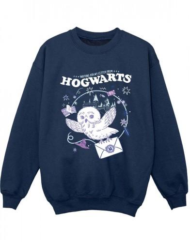 HARRY POTTER Свитшот для мальчиков 'Сова Письмо из Хогвартса'