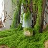 30/100 г Искусственный Зеленый Мох Поделки для DIY Комнатные Растения Сказочные Сады Центральные Элементы Стола Аквариумы Микроландшафт Декоративный Искусственный Мох