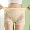 Women Lace Underwear Seamless High Waisted Hipster Briefs Ultra Thin