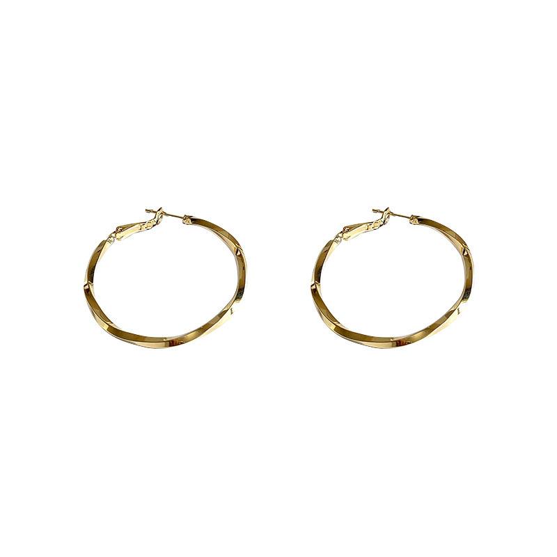 Simple and Versatile Circle Earrings, New Trendy Women's Niche Design, High-end Temperament, Light Luxury Accessories