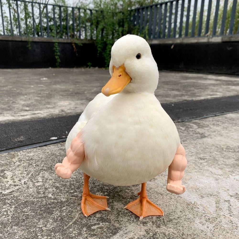 Забавные накладные мускулистые руки Халка, куриные предплечья, игрушка, руки бойцовой курицы, игрушки, тема питомцев, вечеринка