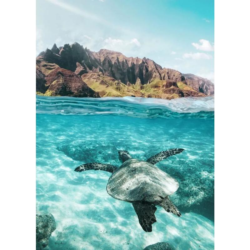 Nordic Beach Poster Summer Beach Surfing Swimming HD Posters Canvas Paintings And Prints Wall Art For House Room Decor Frameless