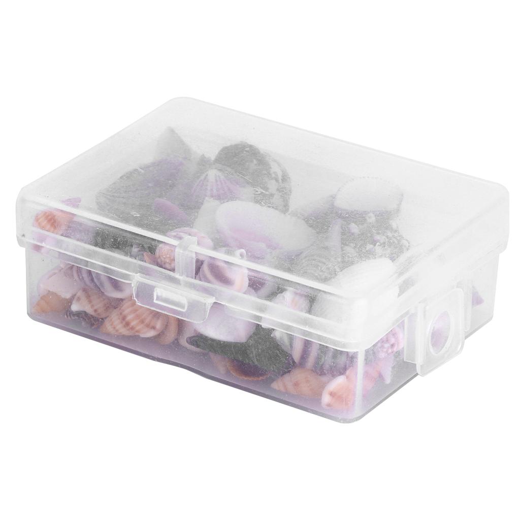 Jewelry Craft DIY Shell Sea Snail Set Natural Seashell Conch Wedding Home Decoration