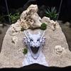 Аквариумная пещера с дизайном дракона, 3D-печатный туннель-укрытие для рыб под гравием, с смотровыми отверстиями для креветок-петушков, плеко, коридорасов