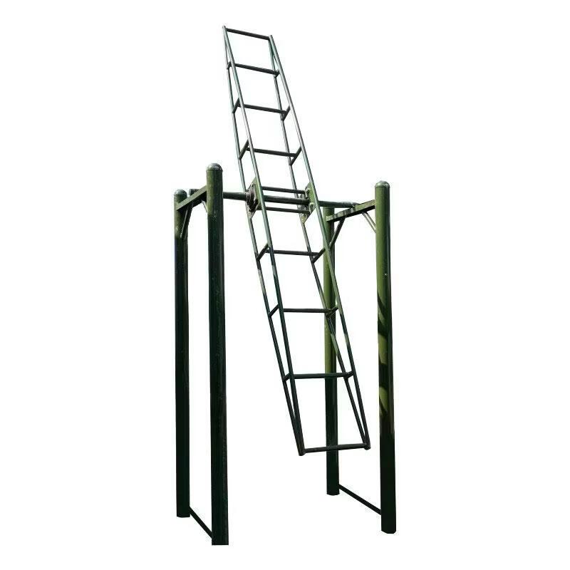 Rotary Physical Training Ladder