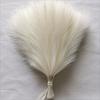 GeeParty 10Pcs Fluffy Pampas Grass Fake Reed Simulated Artificial Flower Boquet for Birthday Party Decoration