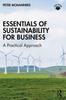 Книга Essentials of Sustainability for Business : A Practical Approach