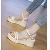 Fashion 2025 Buckle Strap Chunky Sandals Women Summer High Platform Wedges Slippers Woman Bling Decoration Thick Bottom Slides Pumps