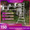 Jundingying 4.4m Double Support 13-Step Orchard Ladder