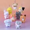 ZB1 Zhang Hao, Shen Quanrui, Cheng Hanbin, Shi Youxuan Doll Keychain - Popular Japanese & Korean Mini Figures