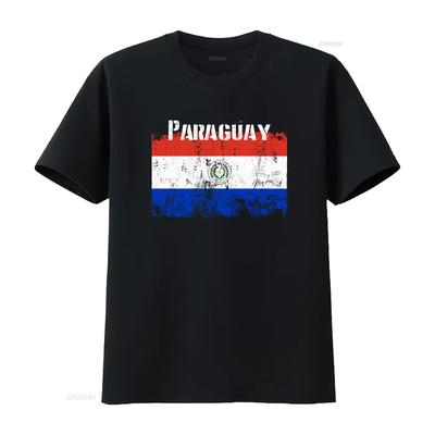 Paraguay Flag T Shirt Great Souvenir with Triband Design Vintage Washed Stretched Designer Clot