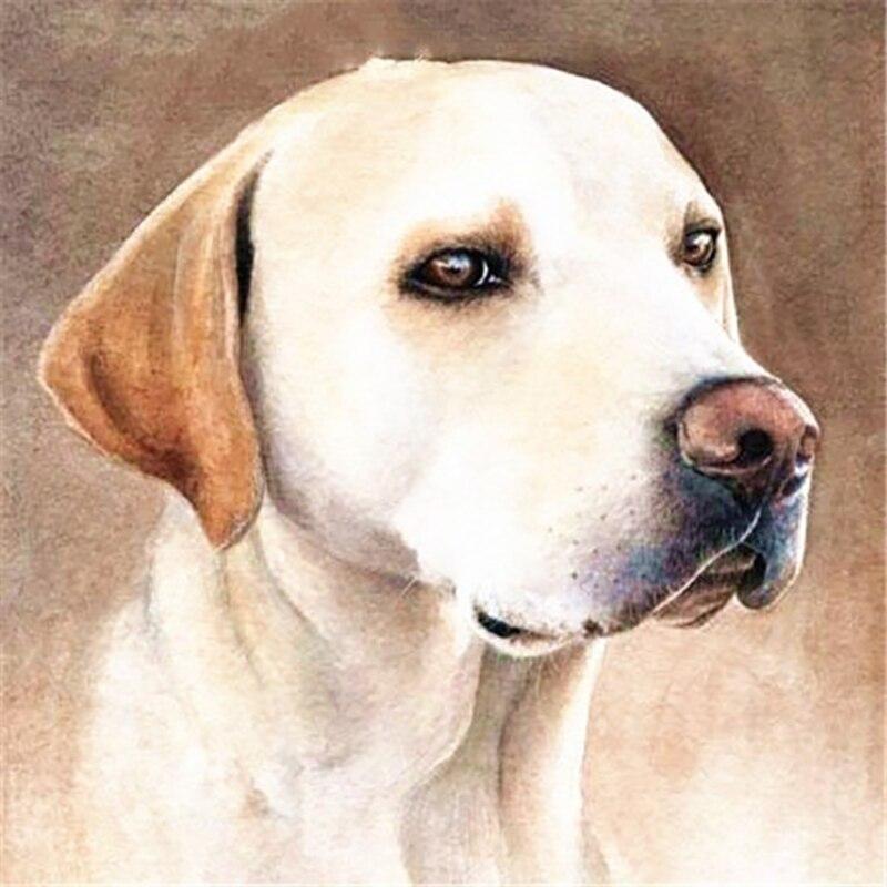 5D DIY алмазная живопись собака Алмазная вышивка животное вышивка крестиком полная круглая дрель со стразами ручное искусство домашний декор подарок