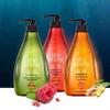 Ziyuan Ginger Strengthening Silicone-Free Shampoo