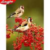 5d Diamond Painting Full Drill Round Animal Diamond Art Embroidery Bird Home Decoration