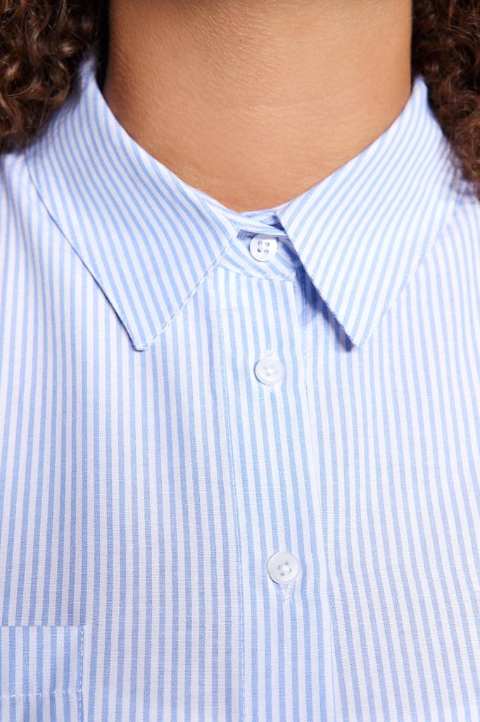 Women's Style Plus Size Blue Striped Poplin Shirt