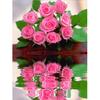 5D DIY Алмазная картина "Розовая роза" из страз Полная круглая алмазная вышивка