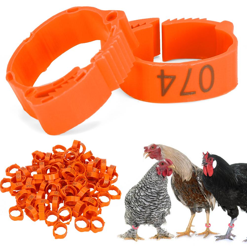 100 шт., кольцо для ног птицы, курица, утка, птица, пряжка, кольцо с зажимом и табличкой для кормления