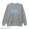 Длинный рукав, круглый вырез, эластичный термографический принт UCLA Crew Neck Толстовка Баскетбол Оксфорд Серый L [Champion] Футболка C3-YB061 Мужская