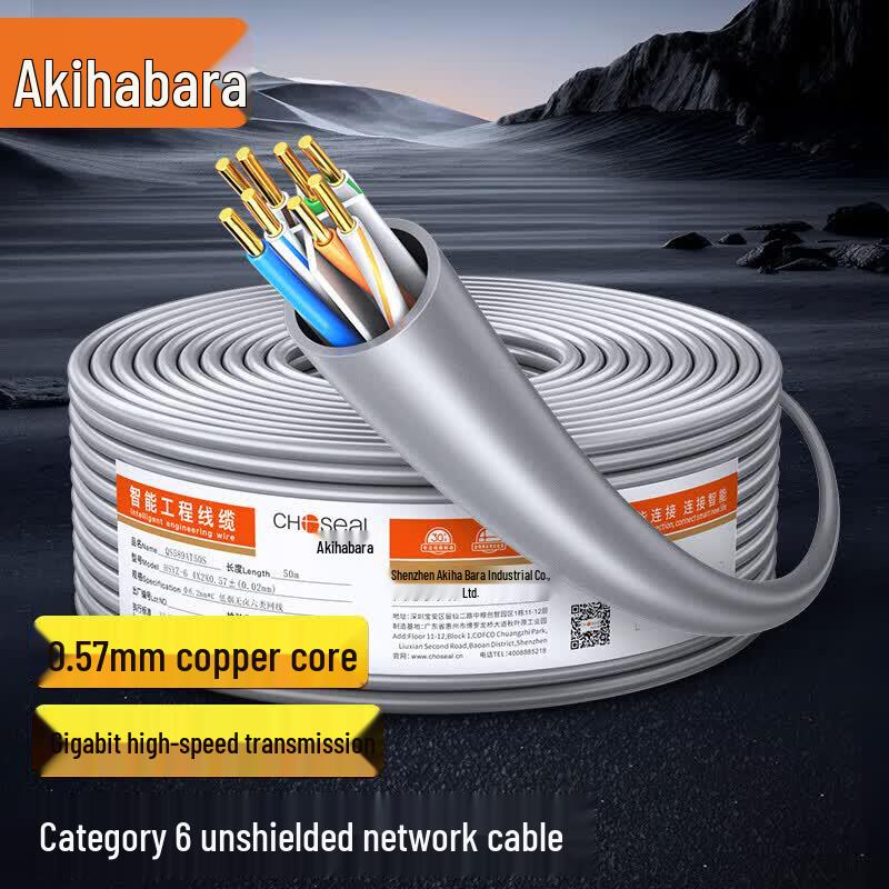 CAT6 Gigabit Ethernet Cable