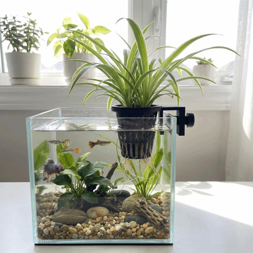 Soilless Cultivation Aquarium Plant Holder Screw Clamp/Suction Cup Aquarium Planter Cups Aquarium