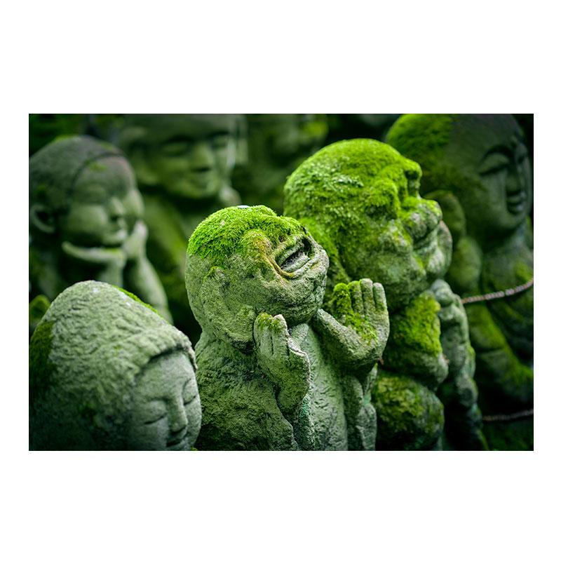 Натуральный зеленый лес свежий мох холст картины настенное искусство зеленое дерево растение искусство постеры и принты для декора гостиной без рамки