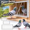 Metal Bar Construction One-Way Pigeon Door 30/40/50cm Pigeon Loft Door  for Racing Pigeons