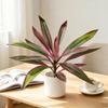 Большие реалистичные искусственные папоротники и растения Драконово дерево с зеленой искусственной листвой, Устойчивые к УФ-излучению уличные искусственные папоротники для патио, балкона, сада,