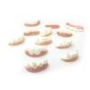 Sparking The Whole Person Toy Vampire Teeth Creative And Funny Dormitory