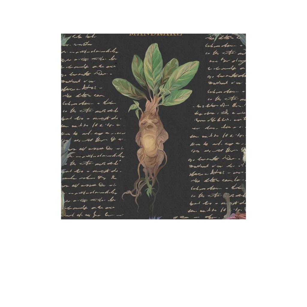 HARRY POTTER Yume Фэнтези Принт